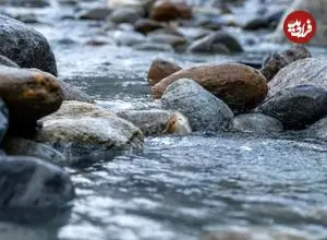 خطر از بین رفتن میکروب‌هایی که در «گِل» زندگی می‌کنند