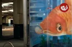 6 شاهکار «نقاشی سه‌بعدی» که محیط اطراف خود را کاملا تغییر داده‌اند