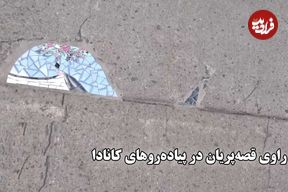 ببینید؛ راوی قصه پریان در پیاده رو های کانادا؛ وقتی راه می‌روید باید سرتان را پایین بگیرید 
