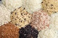 سرعت گرمایش زمین ۵هزار برابر بیشتر از توان سازگاری گیاه برنج است