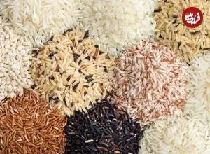 سرعت گرمایش زمین ۵هزار برابر بیشتر از توان سازگاری گیاه برنج است