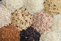 سرعت گرمایش زمین ۵هزار برابر بیشتر از توان سازگاری گیاه برنج است