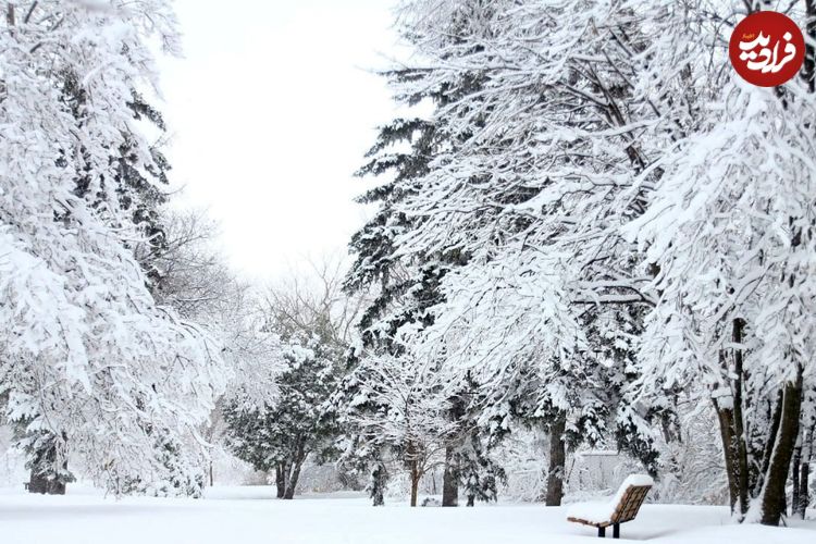 کشورهایی که هرگز برف به خود نمی‌بینند