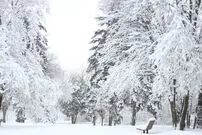 کشورهایی که هرگز برف به خود نمی‌بینند