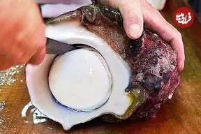 ببینید| غذای خیابانی در ژاپن؛ پخت دو مدل غذا با حلزون دریایی بزرگ در اوکیناوا