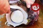 ببینید| غذای خیابانی در ژاپن؛ پخت دو مدل غذا با حلزون دریایی بزرگ در اوکیناوا