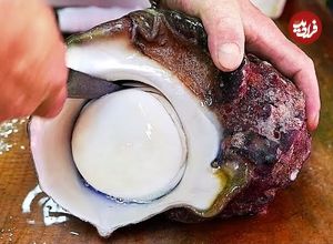 ببینید| غذای خیابانی در ژاپن؛ پخت دو مدل غذا با حلزون دریایی بزرگ در اوکیناوا