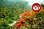 بهترین شهر شمال برای سفر در پاییز؛ هفته اول مهر کجا بریم؟
