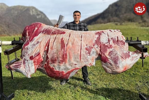 (ویدئو) کباب کردن هیجان انگیز گاو 150 کیلوگرمی توسط آشپز روستایی مشهور آذربایجانی