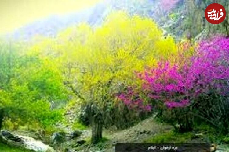 تصاویر؛ طبیعت بکر ایلام، بهشت گردشگران