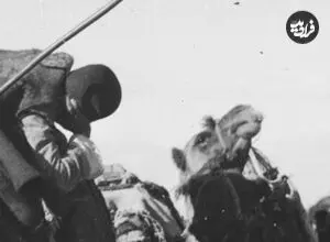 عکس| سفر زمان؛ شترسواری عجیب یک ساربان در اطراف تهران؛ 91 سال قبل