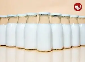با خیال راحت لبنیات پرچرب بخورید