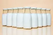 با خیال راحت لبنیات پرچرب بخورید