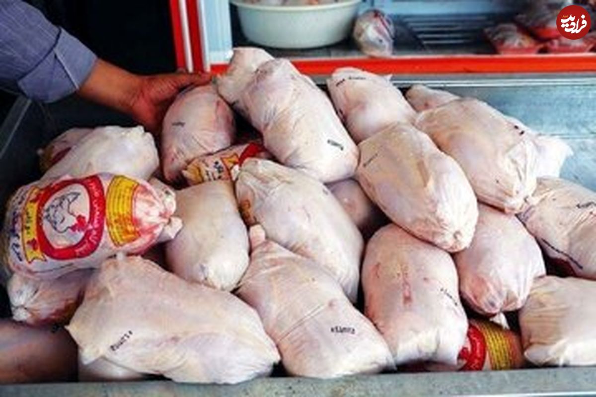 کمبود مرغ در کشور صحت ندارد