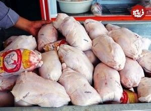 کمبود مرغ در کشور صحت ندارد