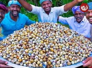 ببینید؛ غذای روستایی در هند؛ تهیه یک غذای خاص با 5 هزار تخم بلدرچین آب پز شده