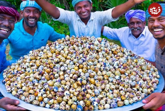 ببینید؛ غذای روستایی در هند؛ تهیه یک غذای خاص با 5 هزار تخم بلدرچین آب پز شده