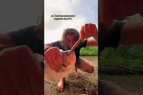(ویدئو) این ماهی خطرناک با دندان هایش همه چیز را قیچی می کند