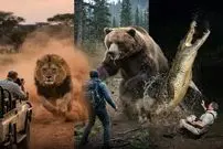 فواصل توصیه شده از حیوانات وحشی، از کدام حیوان بیشتر باید ترسید؟؛ از شیر باید بیشتر فاصله گرفت یا ببر؟!