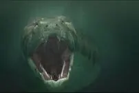 (عکس) سن این مار ۴۰ متری ۲۰۰۰ سال است 