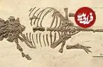 فسیل نوزاد تازه از تخم درآمدۀ «دایناسور زره‌دار» در چین پیدا شد