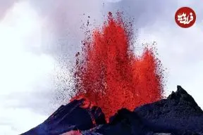 ببینید| سگ رباتیک فوران‌های آینده آتشفشانی را بو می‌کشد