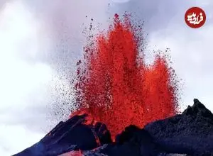 ببینید| سگ رباتیک فوران‌های آینده آتشفشانی را بو می‌کشد