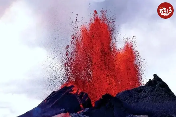 ببینید| سگ رباتیک فوران‌های آینده آتشفشانی را بو می‌کشد