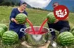 ببینید| غذای روستایی در آذربایجان؛ برداشت هندوانه تازه از مزرعه و تهیه آبمیوه و مربا با آن