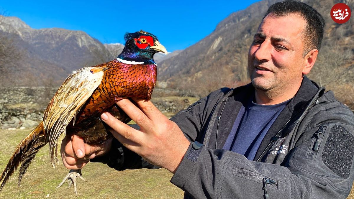 ببییند| غذای روستایی در آذربایجان؛ پخت شاه پلوی مخلوط با قرقاول