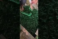 (ویدئو) هندی ها النگوهای رنگی مشهورشان را به این شکل در کارگاه تولید می کنند!