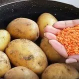 ببینید| طرز تهیه شامی متفاوت با دال عدس و سیب زمینی