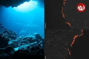 پدیده‌ای اسرارآمیز در سواحل آمریکا؛ راز یوفوهای شناور چیست؟