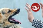 ببینید؛ وحشت یک کودک از تعقیب سگ‌ها؛ پدر از فاجعه احتمالی جلوگیری کرد