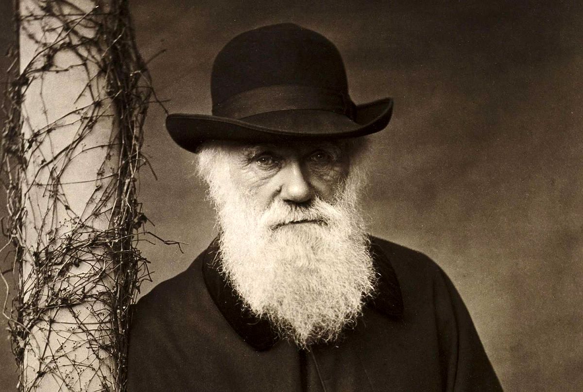 5 واقعیت دربارۀ «داروین»؛ مردی که انگار داشت به قتل اعتراف می‌کرد