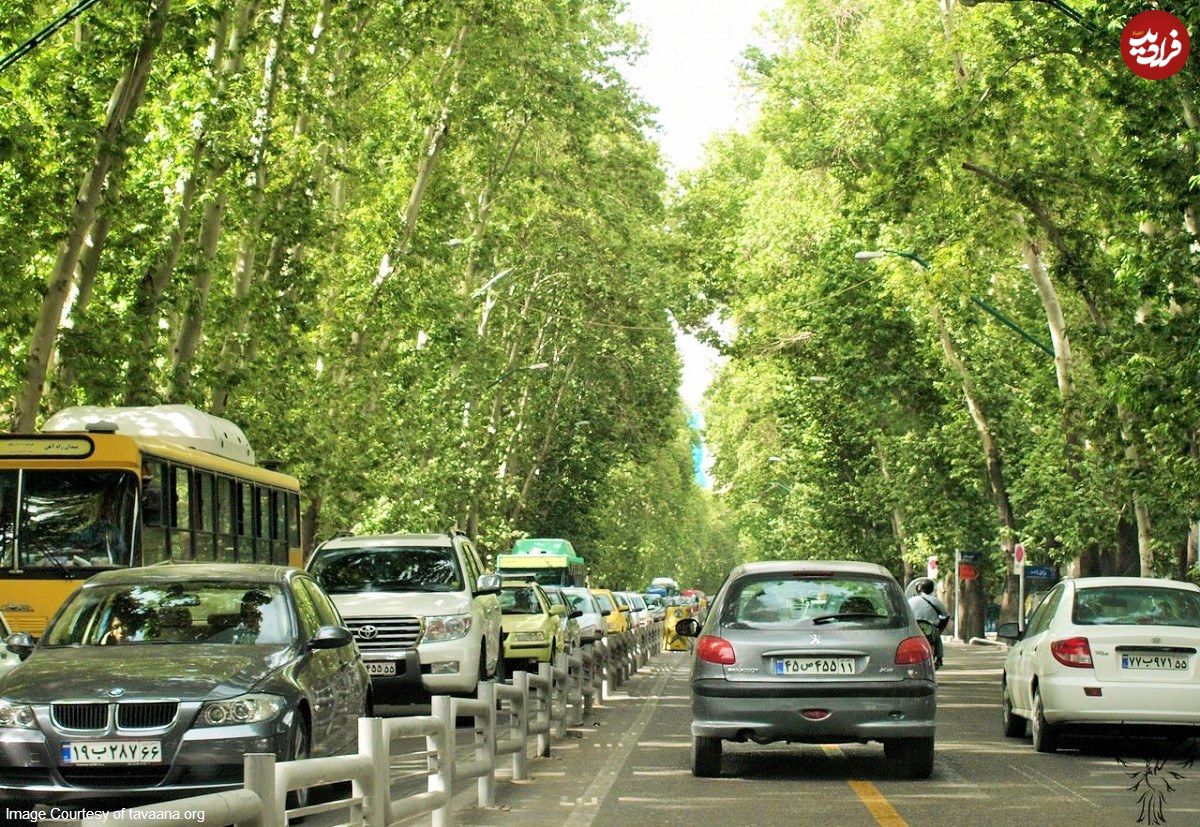 (عکس) تهران قدیم؛ خیابان ولیعصر و چنارهای جوان اش؛ دهه ۲۰