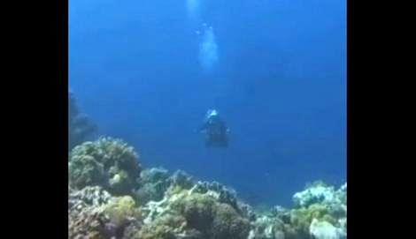 (ویدیو) لحظه‌ای نادر از وقوع زلزله در زیر دریا