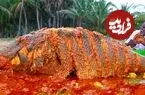 ببینید| غذای روستایی در هند؛ پخت یک غذای سنتی با ماهی باراموندی در جنگل