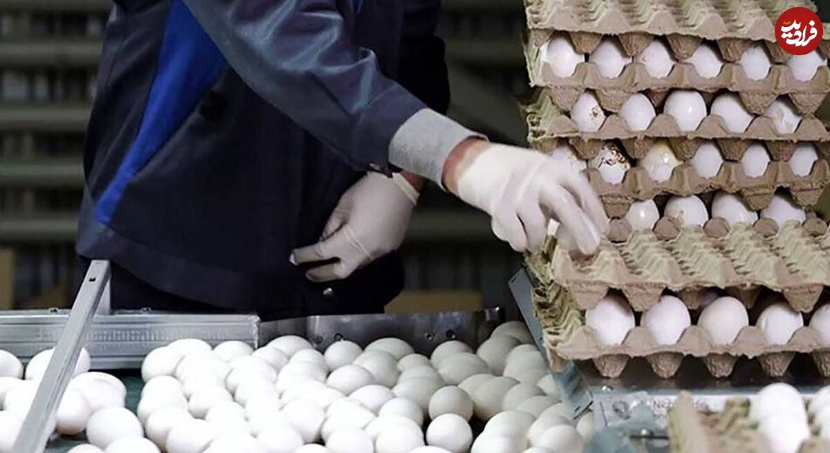 قیمت تخم مرغ در میادین میوه و تره بار اعلام شد