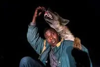 تصاویر| روایتی واقعی از همزیستی انسان و کفتار‌های وحشی در اتیوپی؛ چگونه انسان‌ها و کفتار‌ها دوست شدند؟