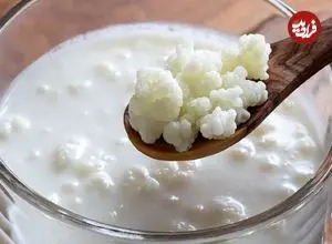 نقش «کفیر» در معکوس‌سازی روند پیری