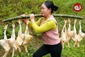 ببینید| غذای روستایی در ویتنام؛ کباب کردن مرغ کامل در بامبو روی آتش در جنگل