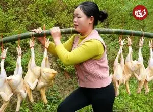 ببینید| غذای روستایی در ویتنام؛ کباب کردن مرغ کامل در بامبو روی آتش در جنگل