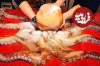 ببینید؛ غذای خیابانی در کره؛ برش ماهرانه هشت پا و ماهی سالمون و تهیه ساشیمی با آن ها در بوچئون