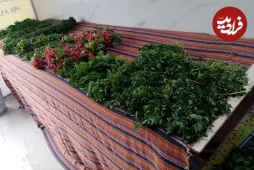 عکس| سفر زمان؛ سبزی‌فروشی با الاغ در خیابان‌های شیراز؛ سال 53