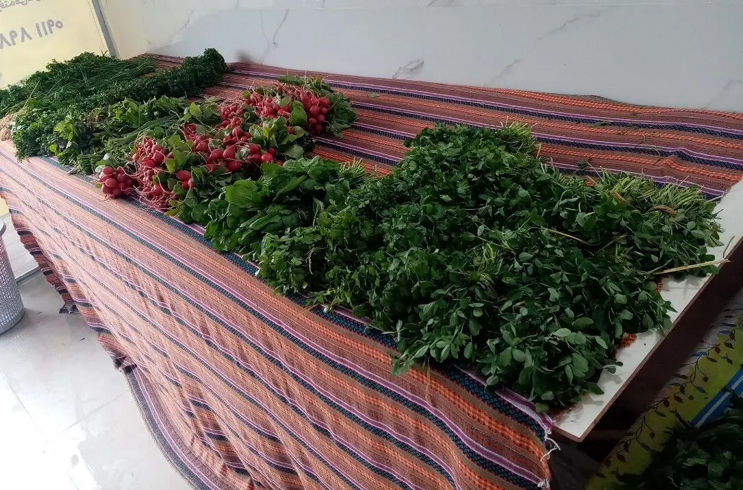 عکس| سفر زمان؛ سبزی‌فروشی با الاغ در خیابان‌های شیراز؛ سال ۵۳