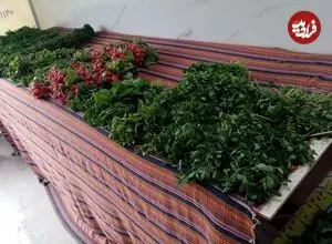 عکس| سفر زمان؛ سبزی‌فروشی با الاغ در خیابان‌های شیراز؛ سال 53