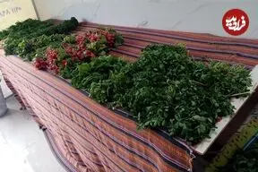 عکس| سفر زمان؛ سبزی‌فروشی با الاغ در خیابان‌های شیراز؛ سال 53
