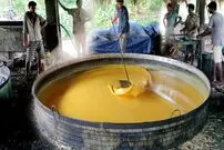 (ویدئو) فرآیند سنتی فرآوری نیشکر سبز و تبدیل آن به شکر توسط روستائیان هندی