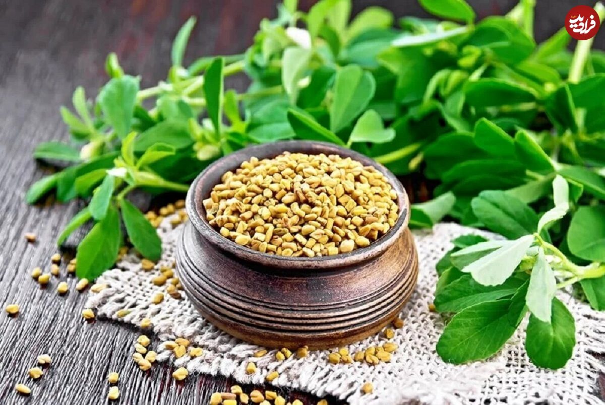 از خواص دمنوش شنبلیله چه می دانید؟